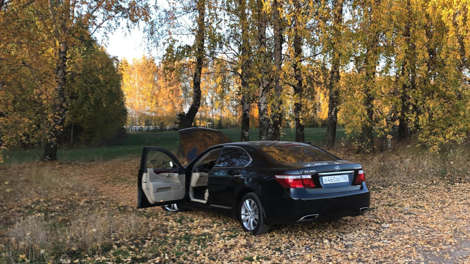 Lexus LS