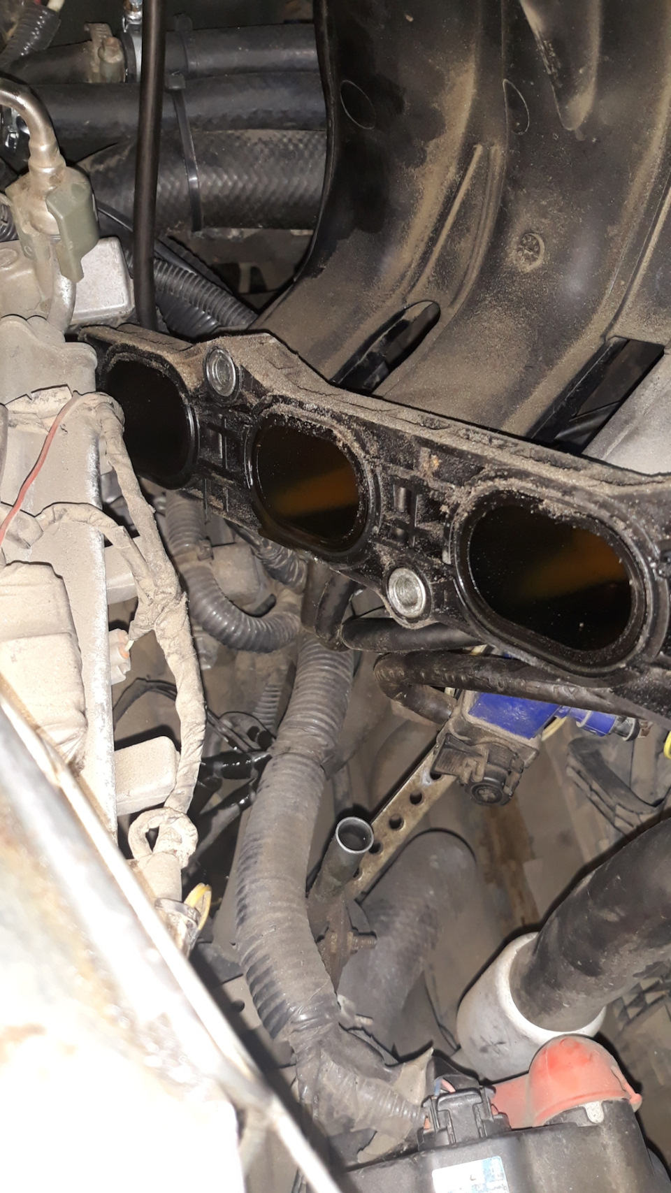 Фото в бортжурнале Nissan X-Trail II (t31)
