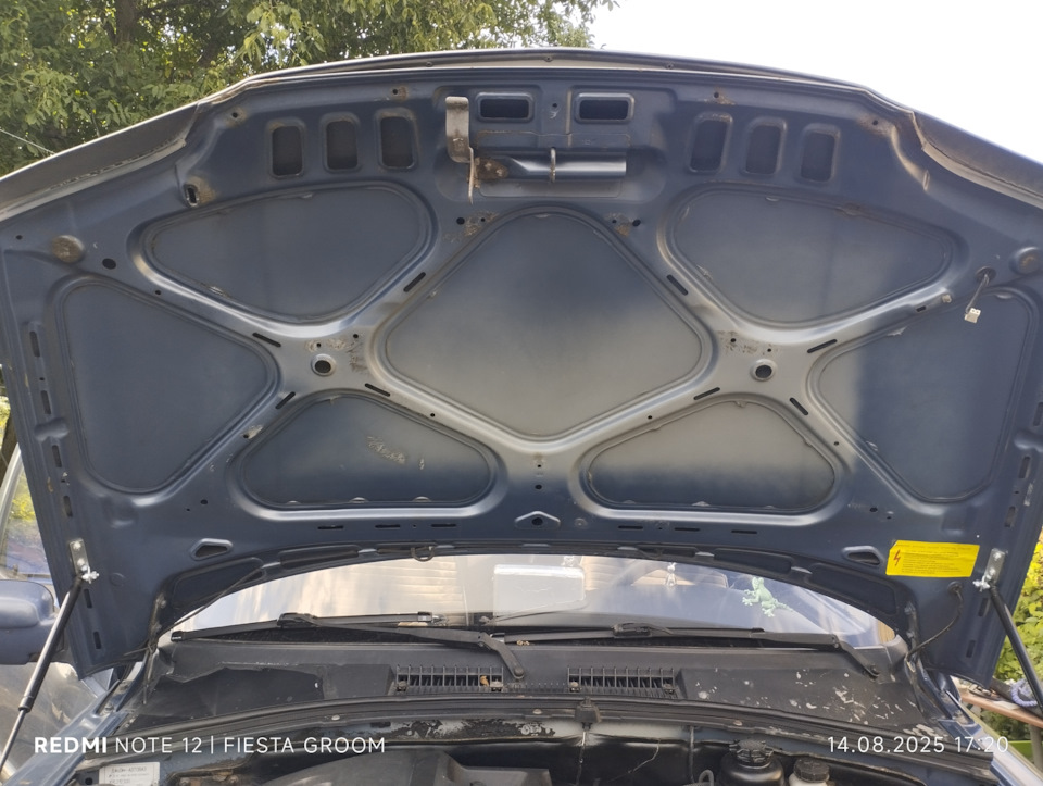 Чистый и обезжиренный — Chevrolet Niva (1G)