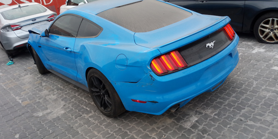 Фото в бортжурнале Ford Mustang (6G)