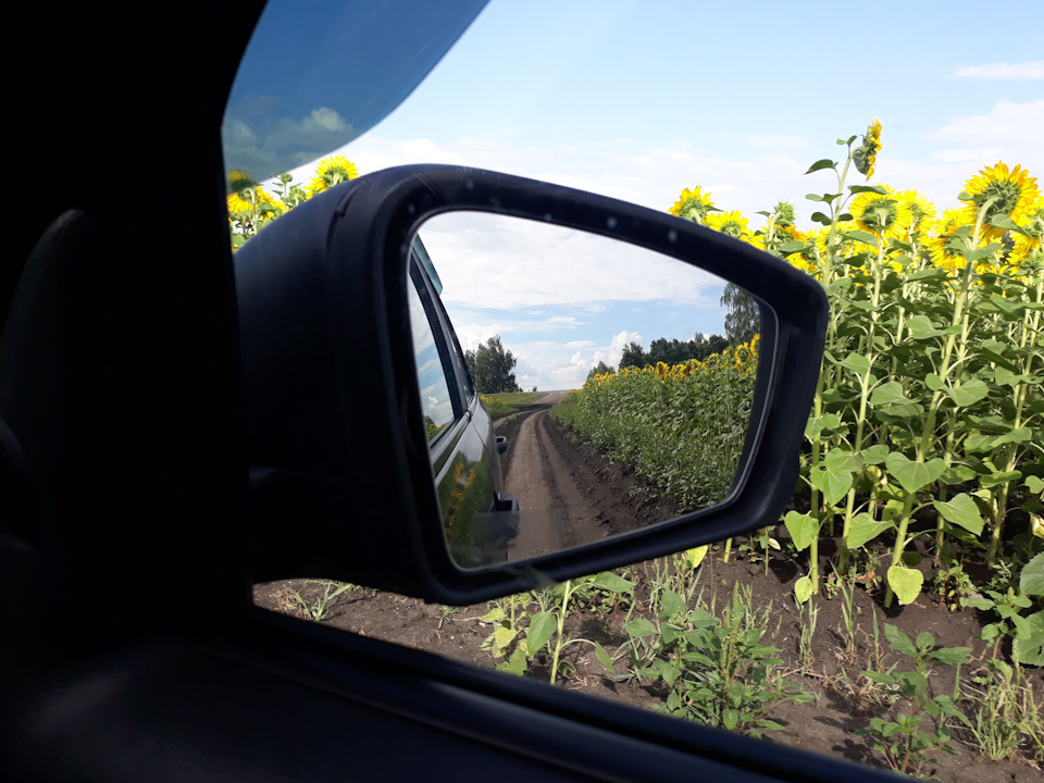 Фото в бортжурнале Lada Гранта Лифтбек (1G)