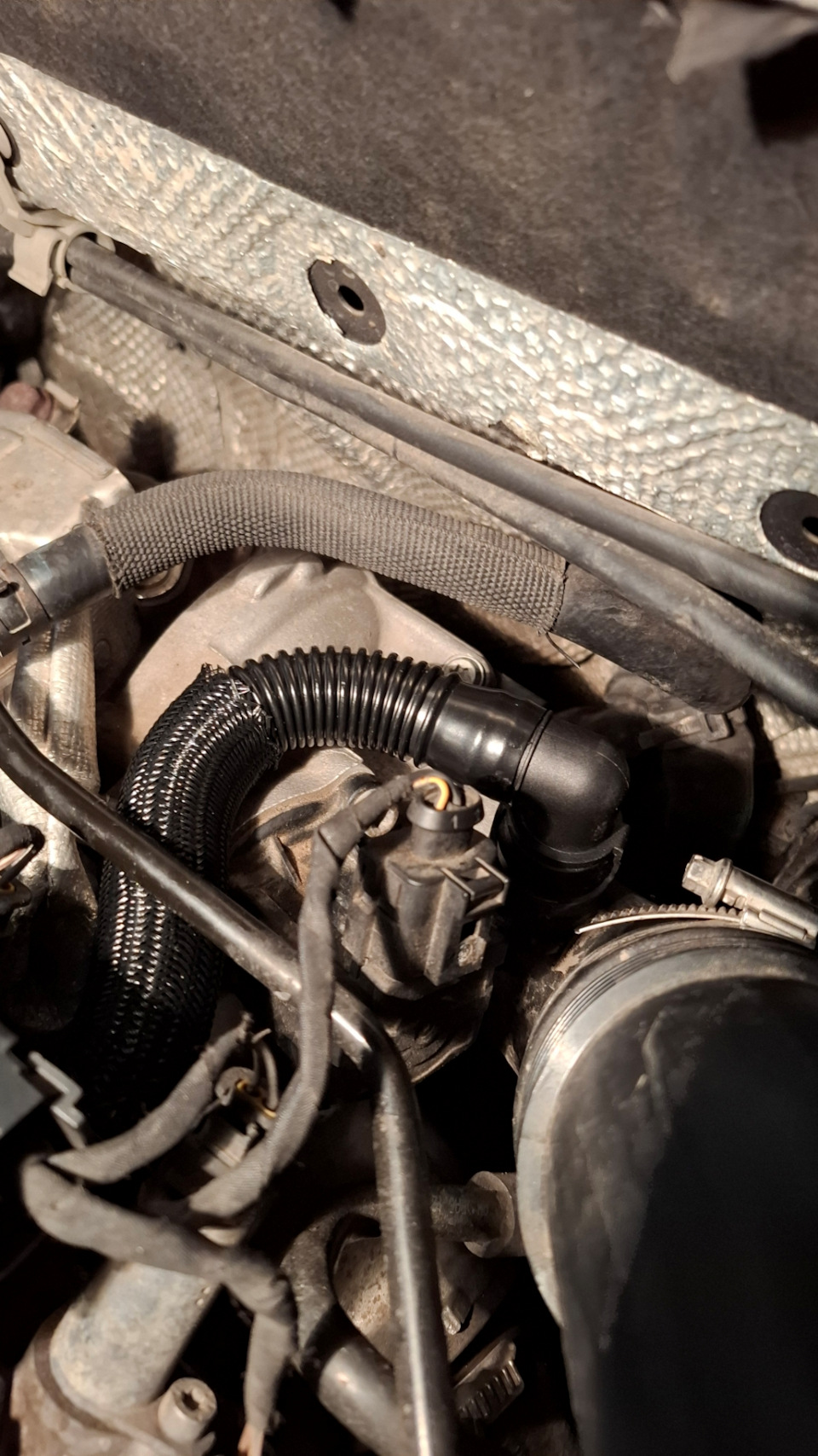 Фото в бортжурнале Skoda Octavia A7 Mk3