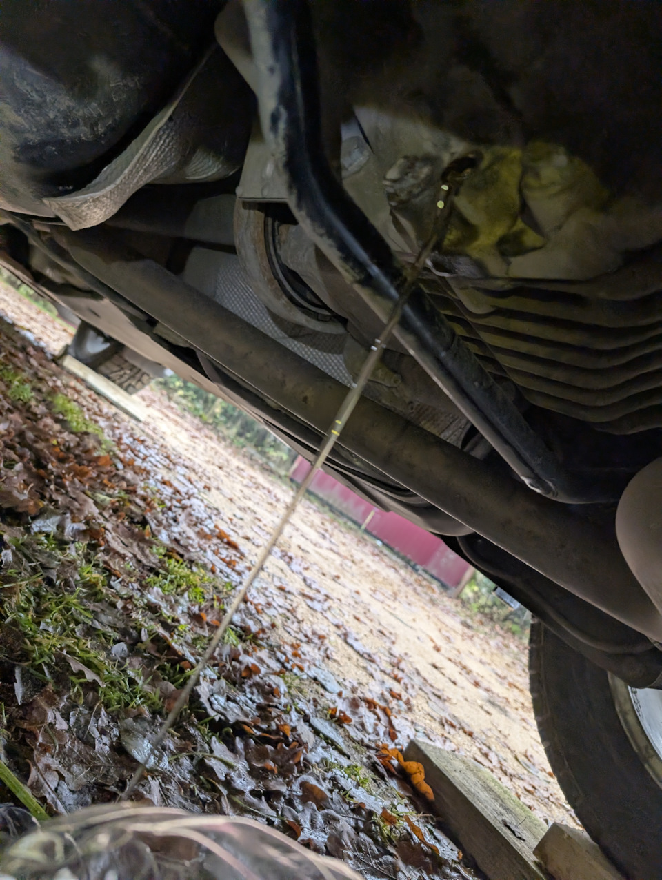 Фото в бортжурнале Skoda Kodiaq (1G)