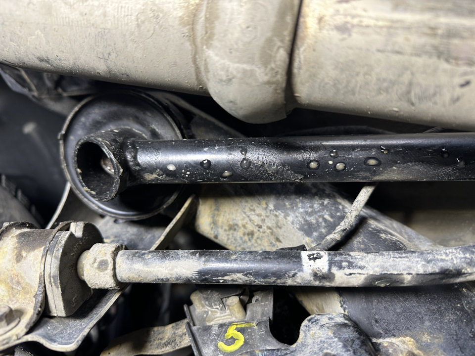 Фото в бортжурнале Subaru Forester (SH)