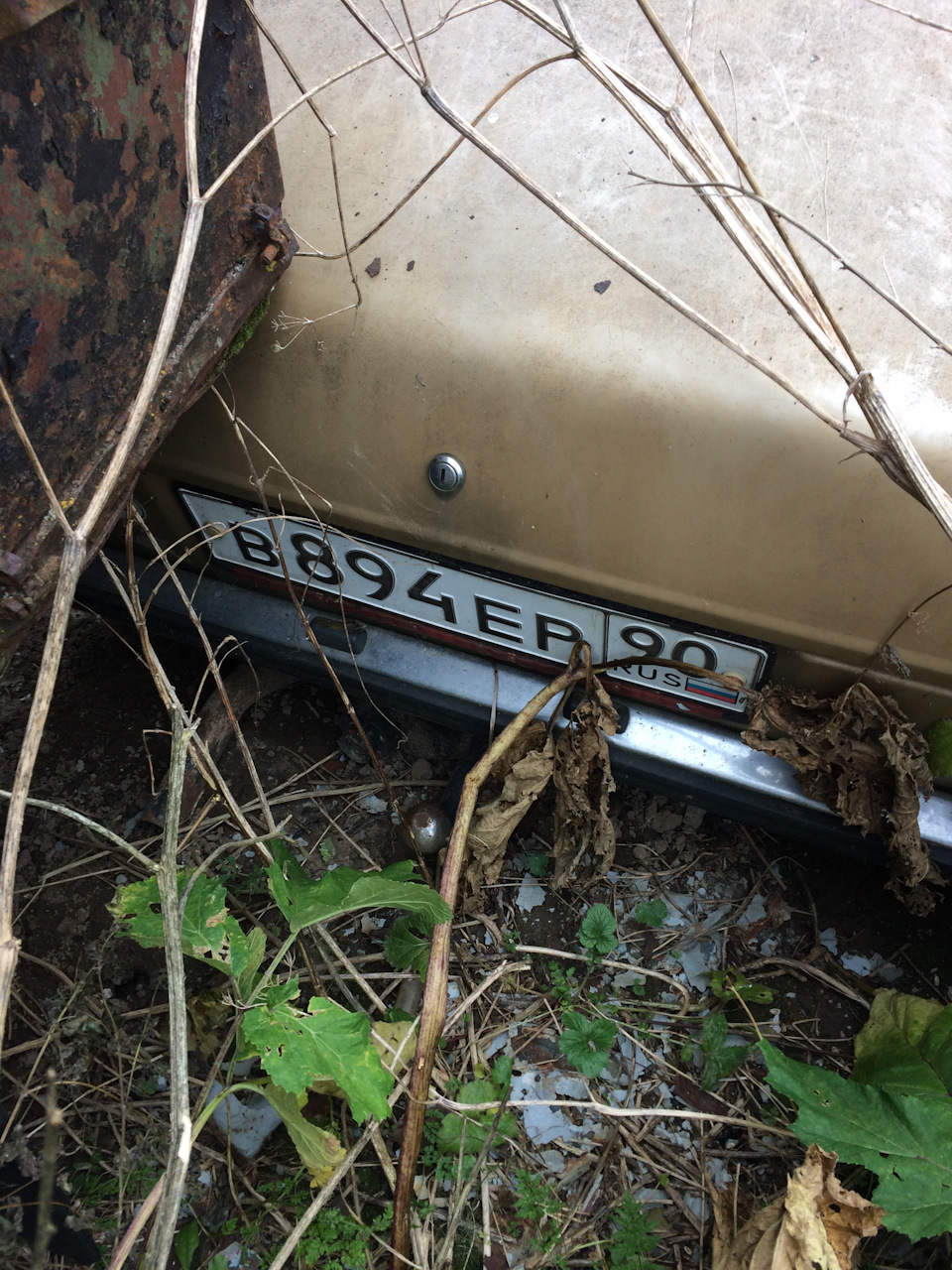 Фото в бортжурнале Ford Escort Mk2
