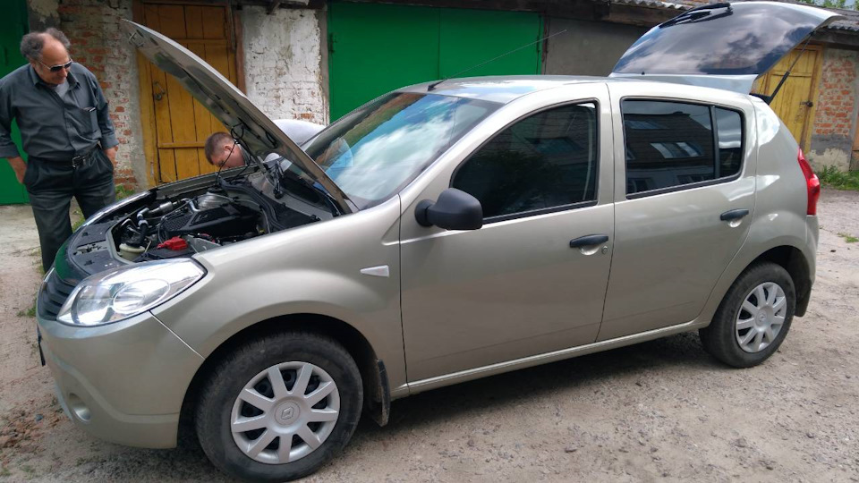 Renault Sandero для домика в деревне