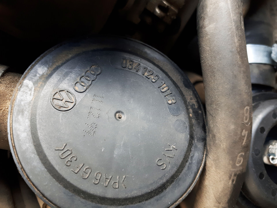 Заводской — 11.12.1999г — Audi A3 (8L)