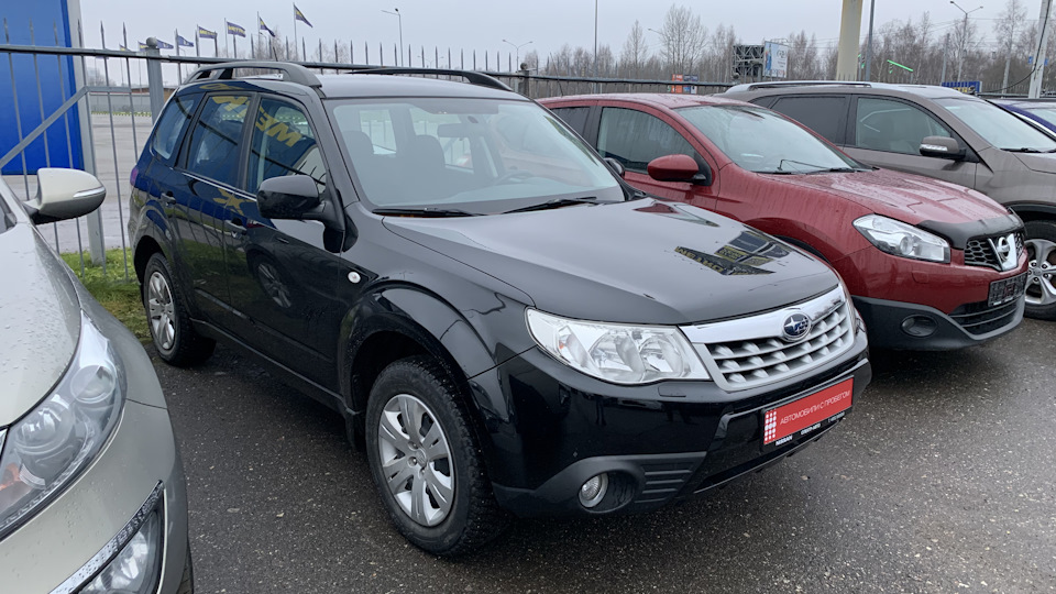 Subaru Forester Черный лесник