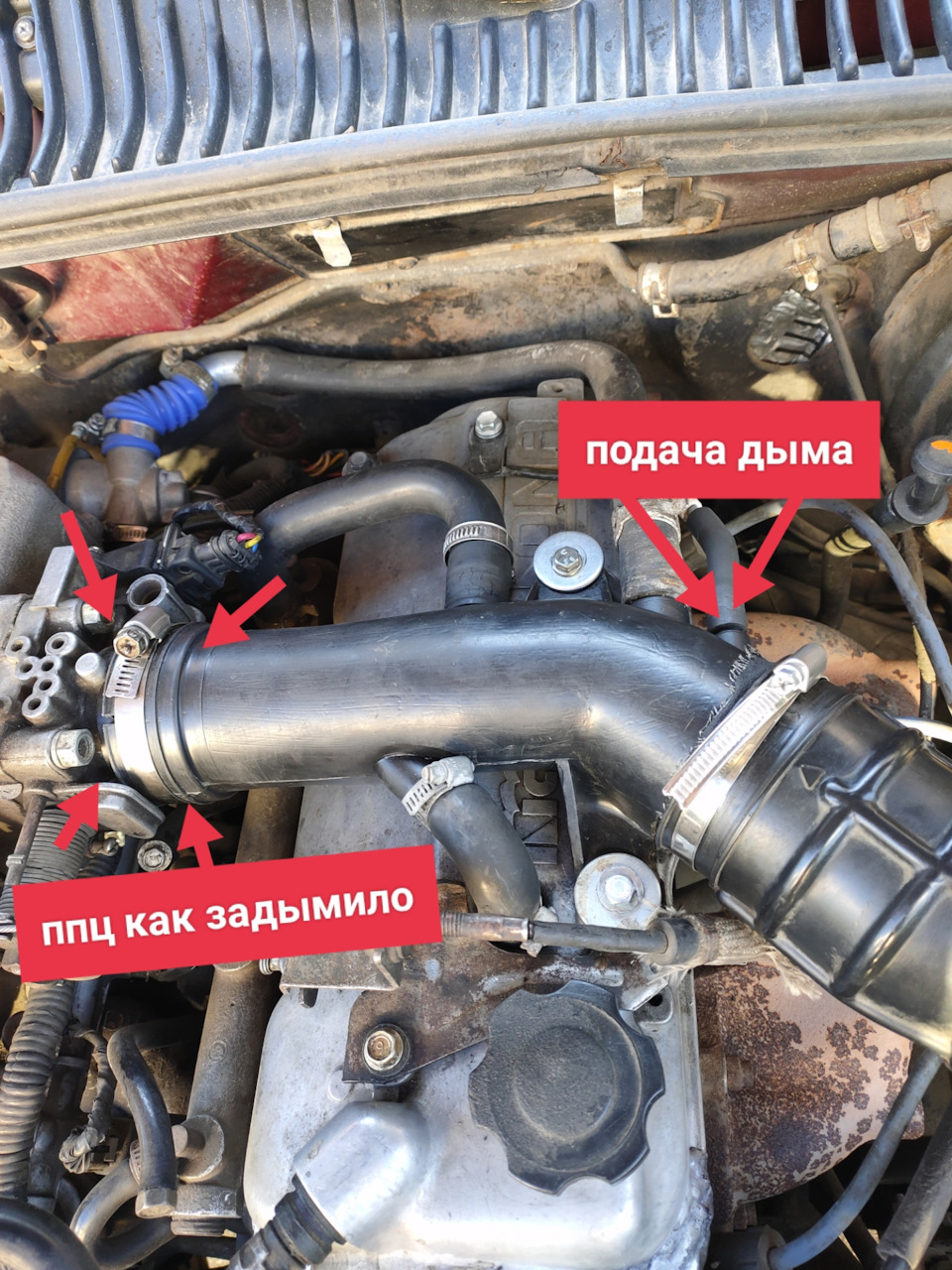 Фото в бортжурнале KIA Sportage (1G)
