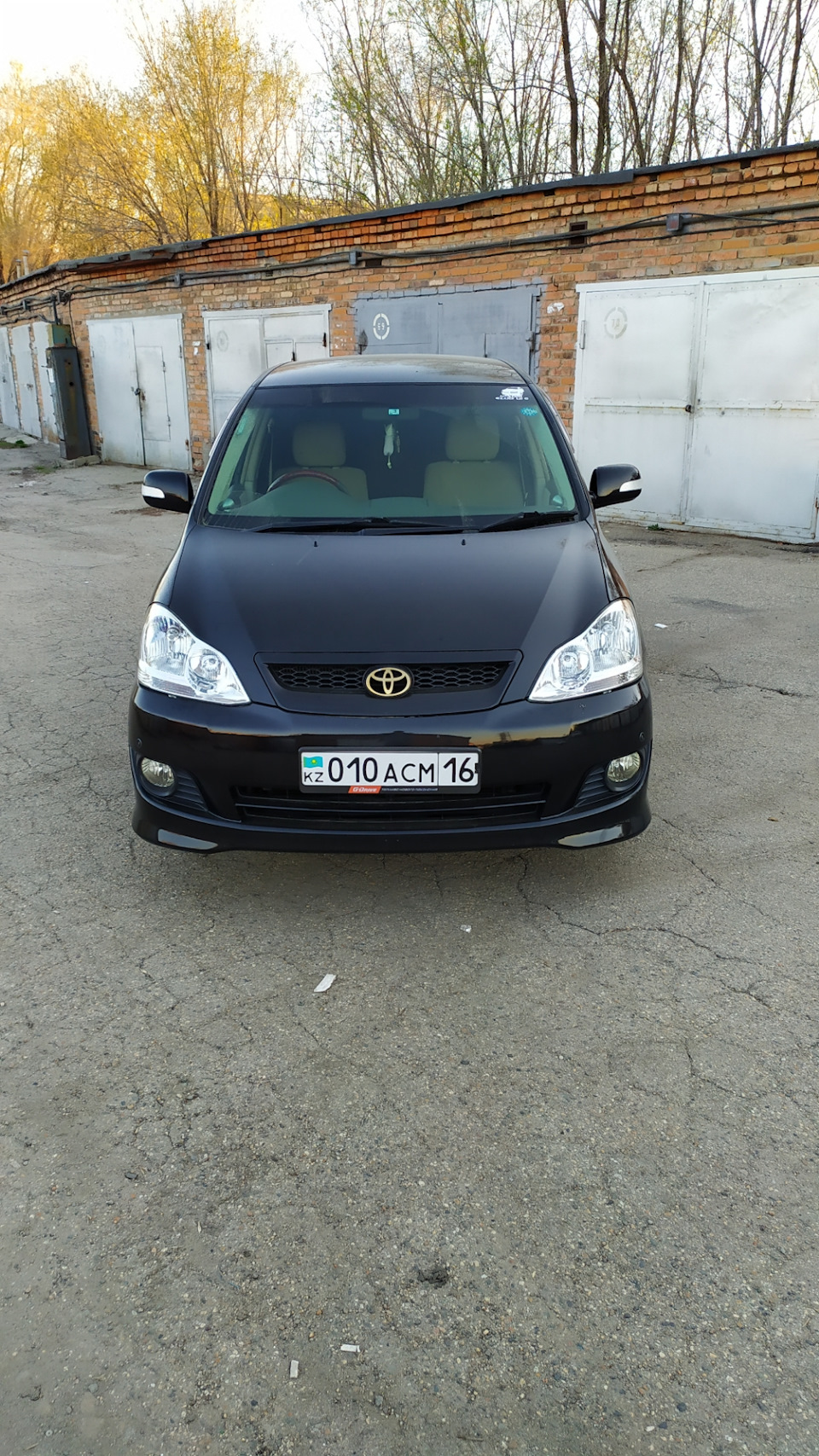 Фото в бортжурнале Toyota Ipsum (21)