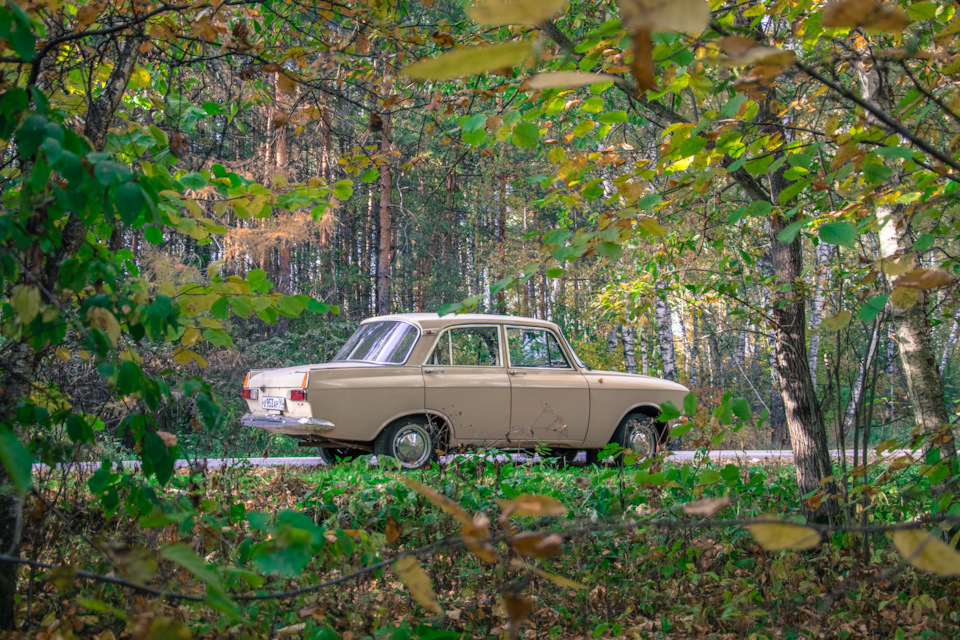 Фото в бортжурнале Москвич 408
