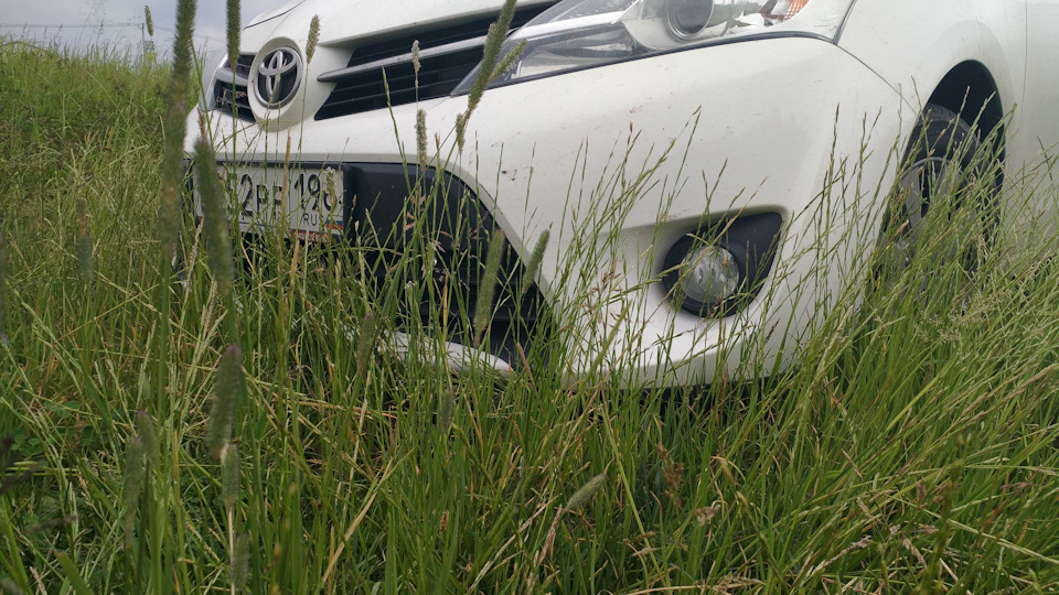 Toyota Verso Ляля