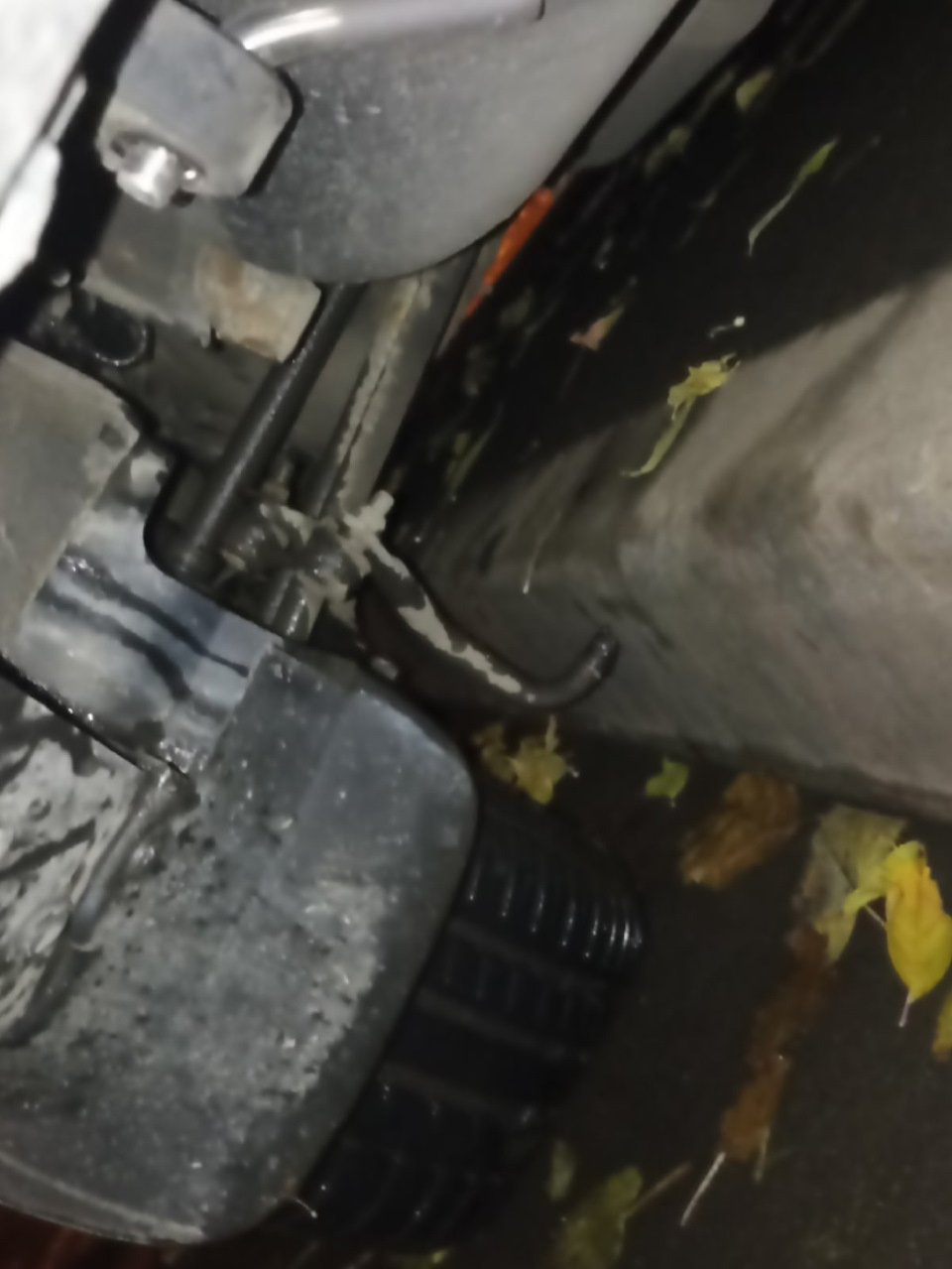 Фото в бортжурнале Subaru Forester (SG)