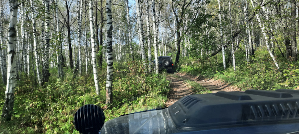 Фото в бортжурнале Nissan Pathfinder (3G)