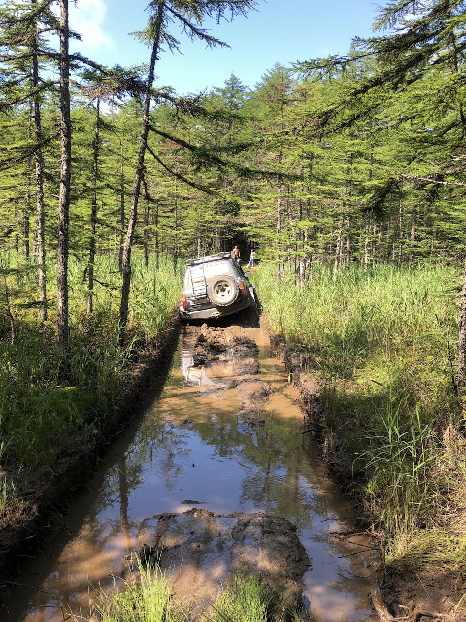 Фото в бортжурнале Nissan Safari (Y61)