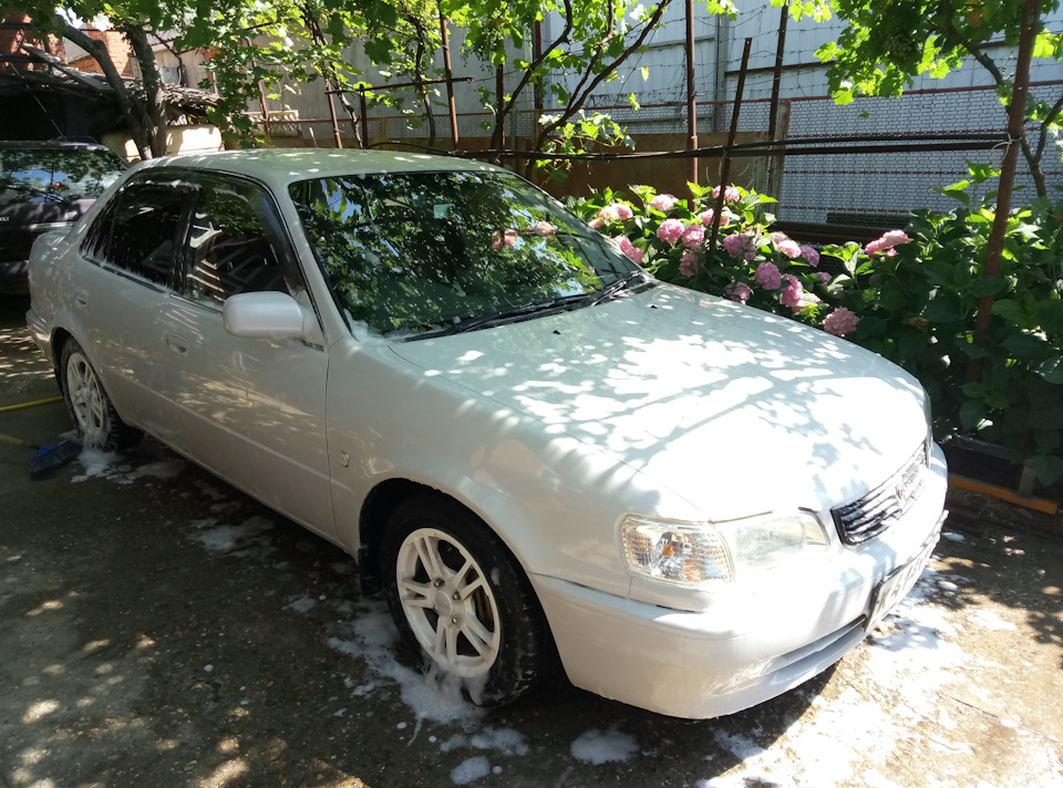 Запенил — Toyota Corolla (110)