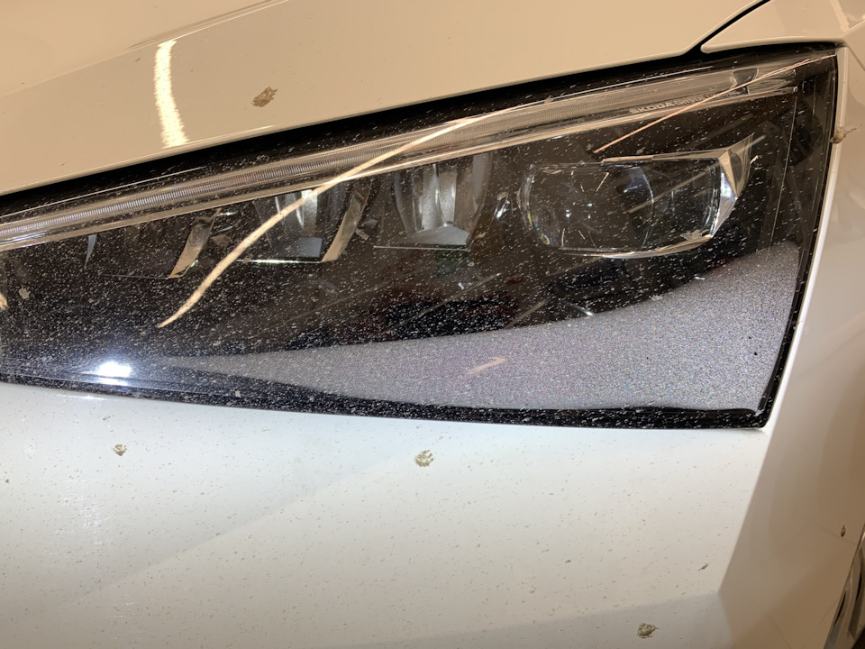 Фото в бортжурнале Skoda Octavia A8 Mk4