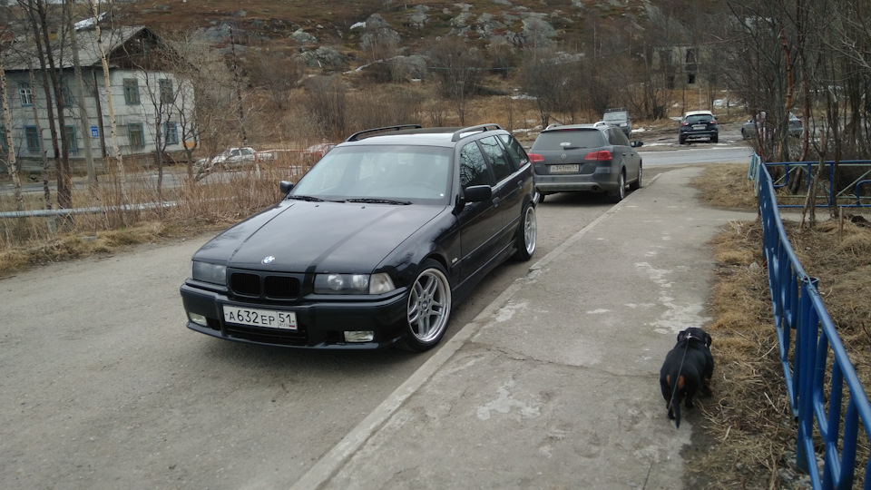 Фото в бортжурнале BMW 3 series Touring (E36)