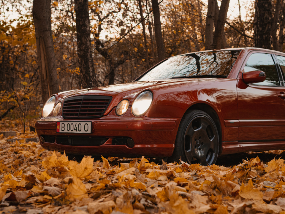 Фото в бортжурнале Mercedes-Benz E-Class (W210)