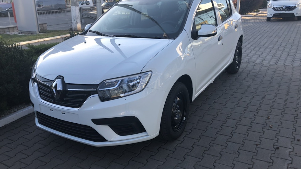 Renault Sandero Білка