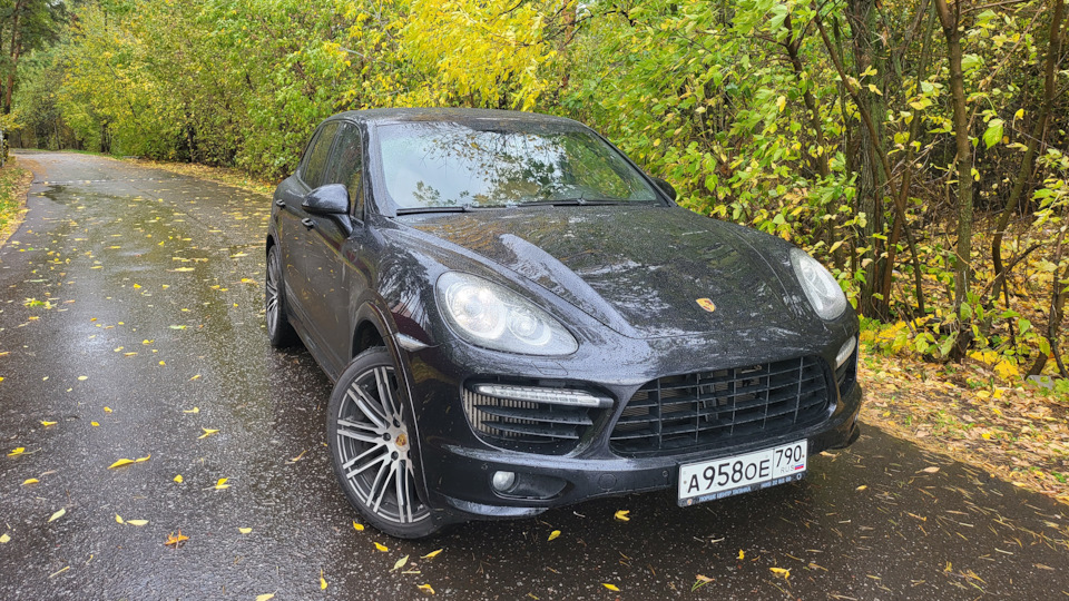 Porsche Cayenne "поросёнок"