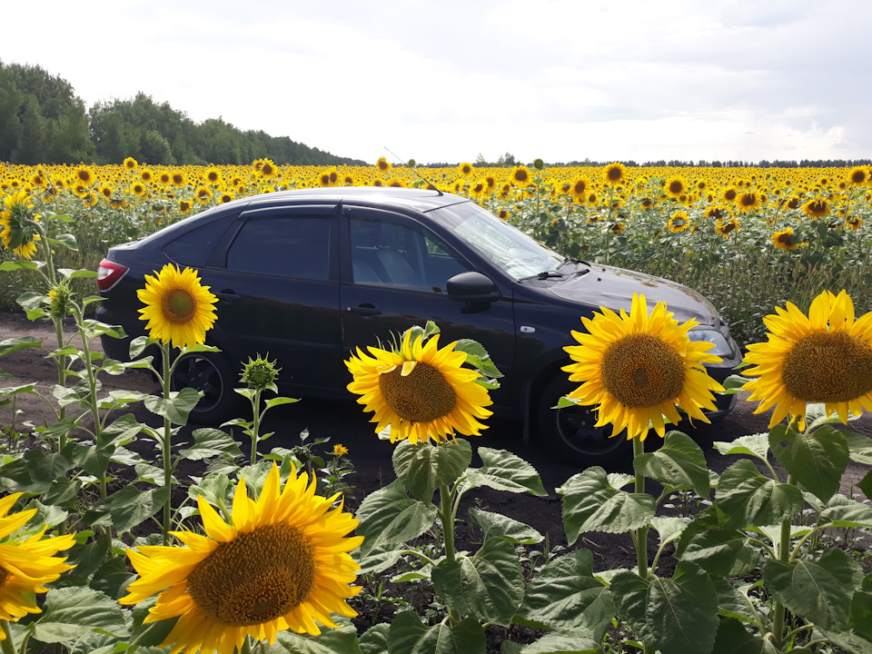 Фото в бортжурнале Lada Гранта Лифтбек (1G)