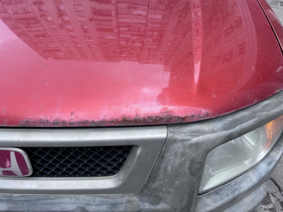 Фото в бортжурнале Honda Element