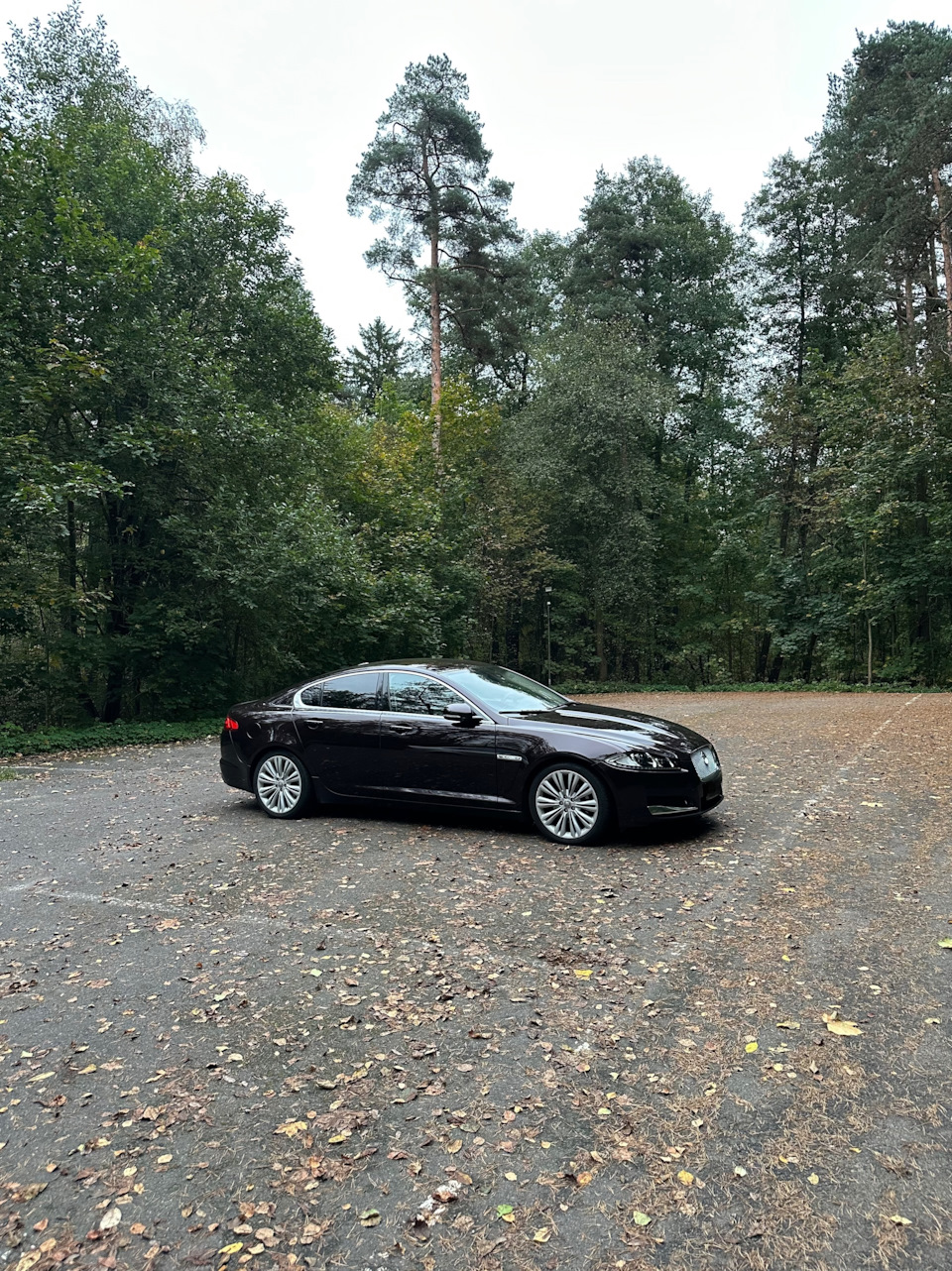Фото в бортжурнале Jaguar XF (1G)