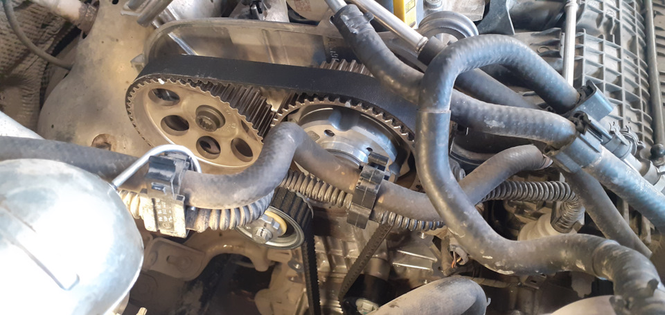 Фото в бортжурнале Skoda Octavia A7 Mk3