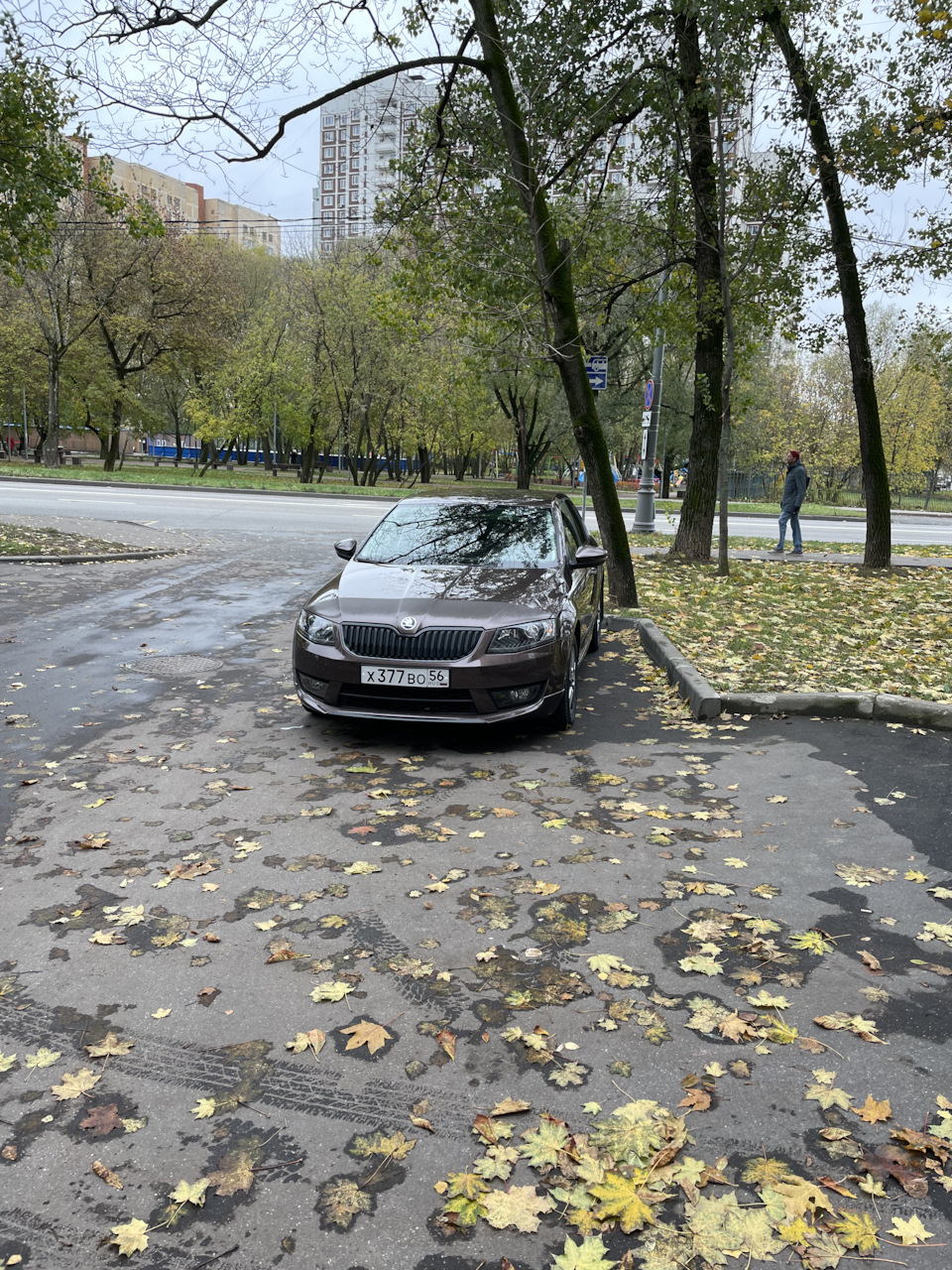 Из осеннего альбома. — Skoda Octavia A7 Mk3