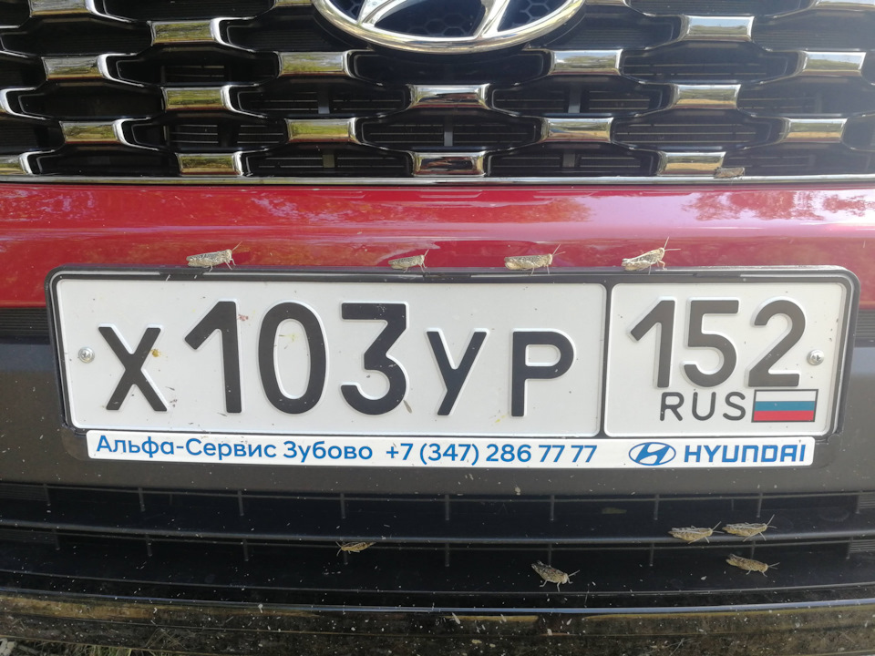 Фото в бортжурнале Hyundai Creta (1G)
