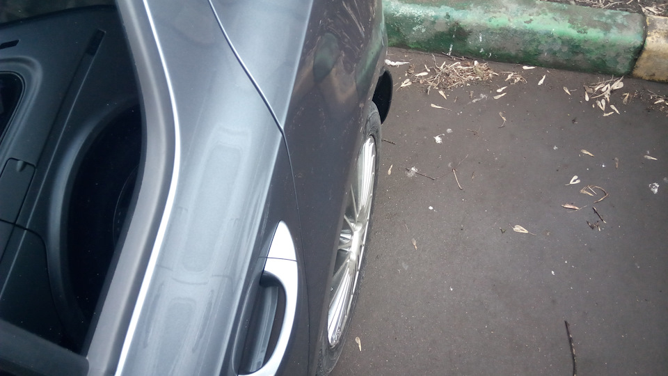 Фото в бортжурнале Skoda Octavia A7 Mk3