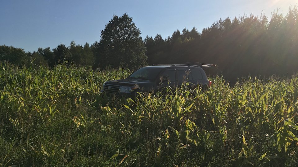 Toyota Land Cruiser Кукурузник