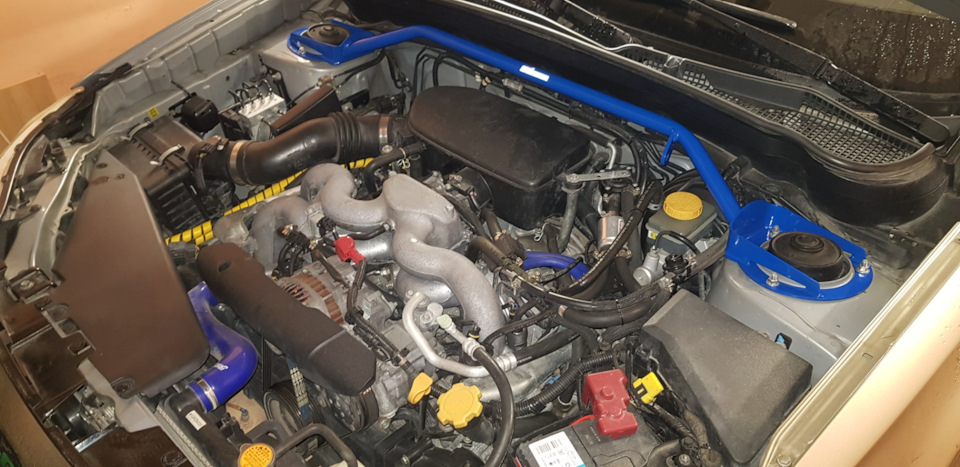 Фото в бортжурнале Subaru Forester (SH)