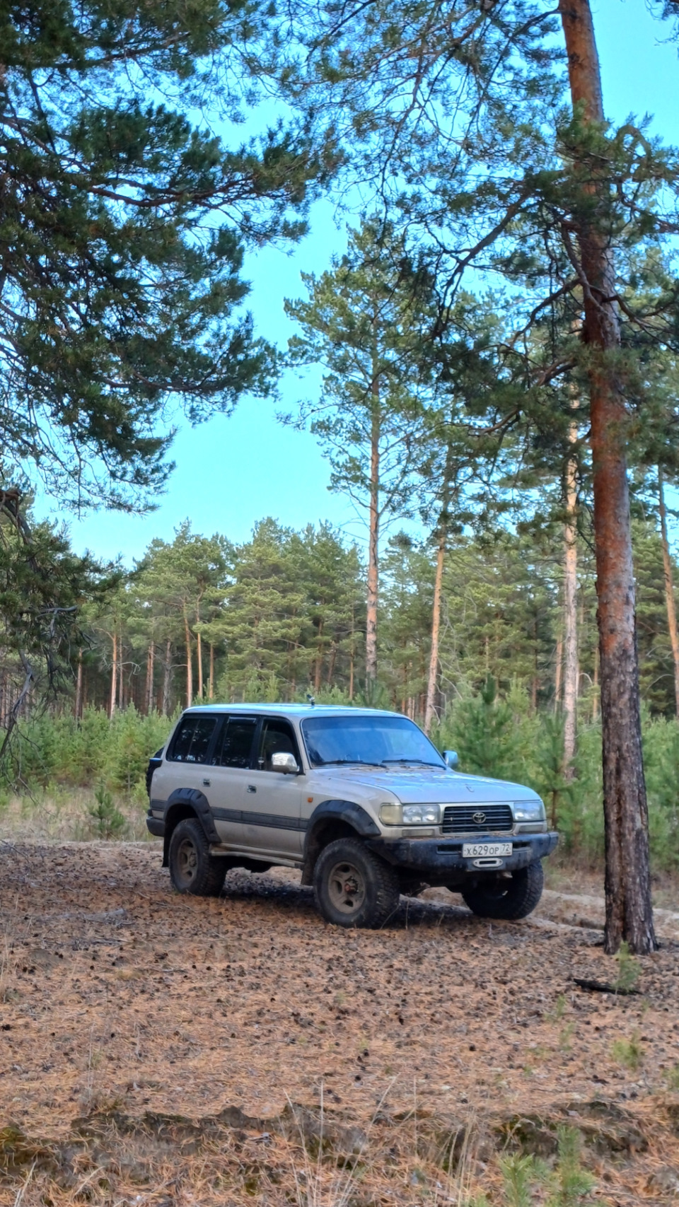 Фото в бортжурнале Toyota Land Cruiser 80