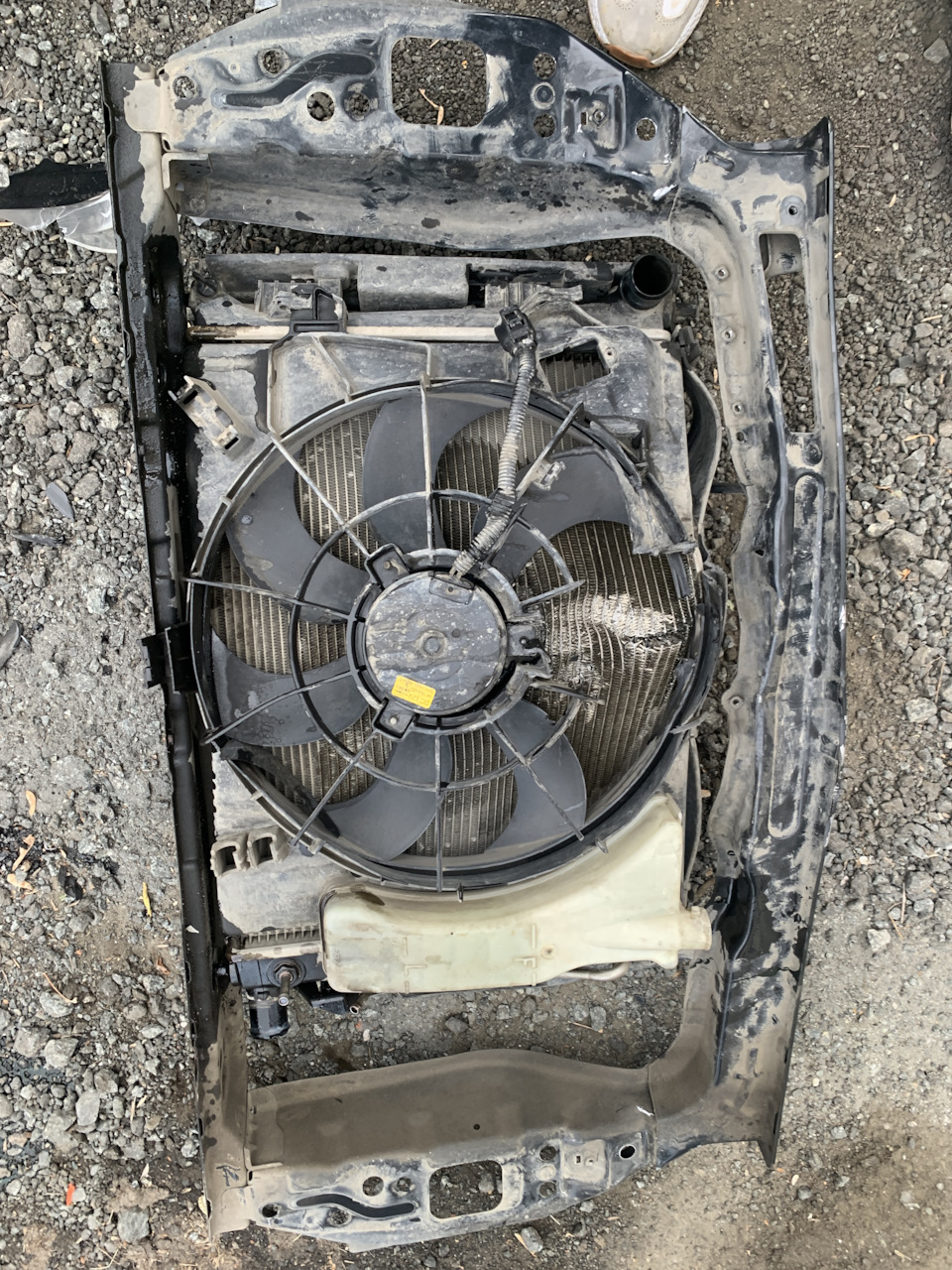 Фото в бортжурнале KIA Rio (3G)
