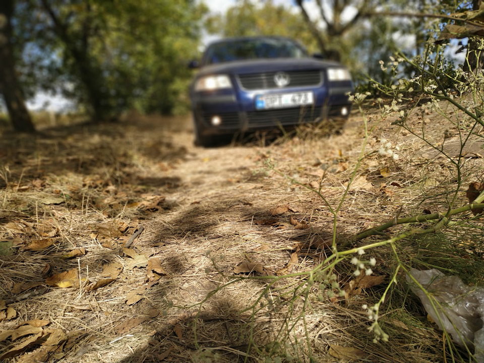 Фото в бортжурнале Volkswagen Passat B5