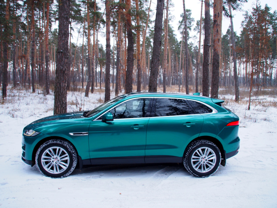 Зимний лук) — Jaguar F-Pace