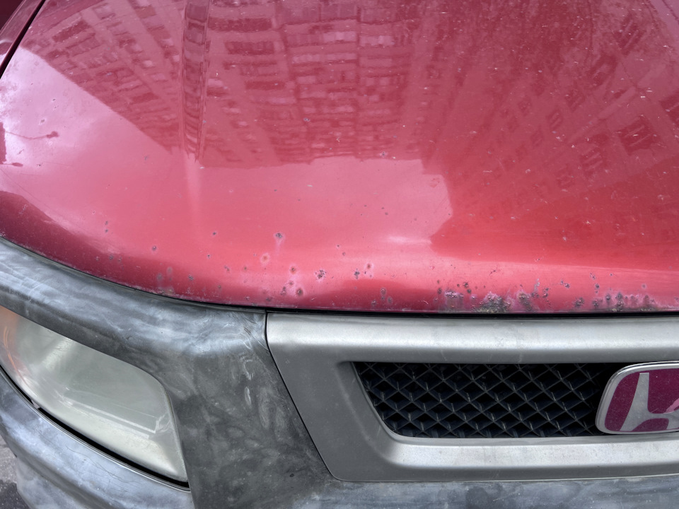 Фото в бортжурнале Honda Element