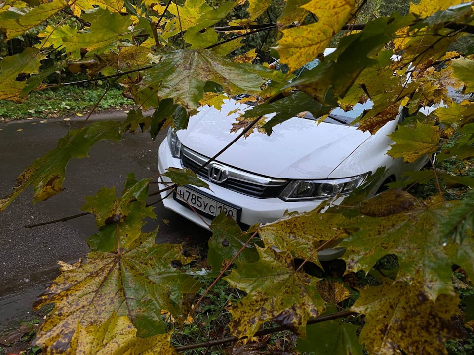 Фото в бортжурнале Honda Civic 4D (9G)