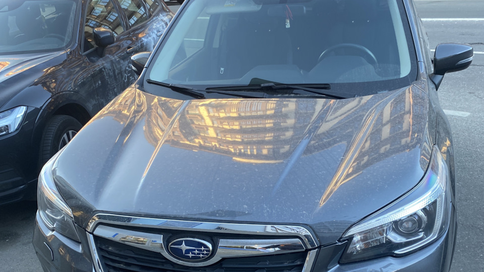 Subaru Forester Бубуня
