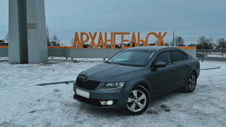 Skoda Octavia Angry Girl 🦇