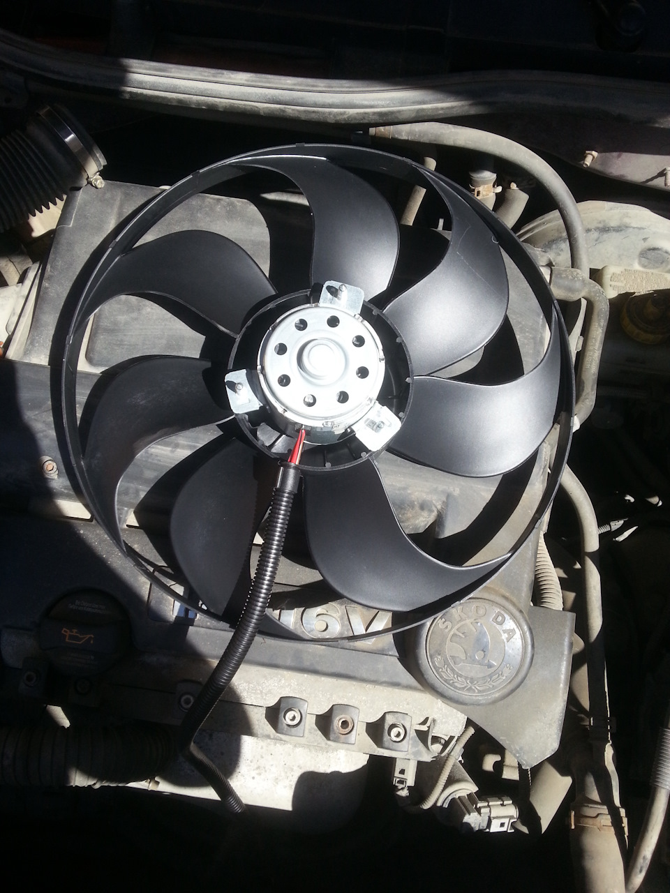 Фото в бортжурнале Skoda Octavia A4 Mk1
