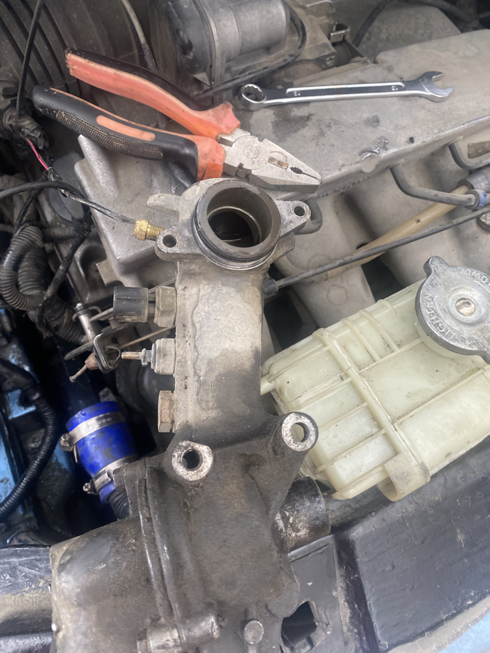 Фото в бортжурнале Mercedes-Benz Vito (1G)