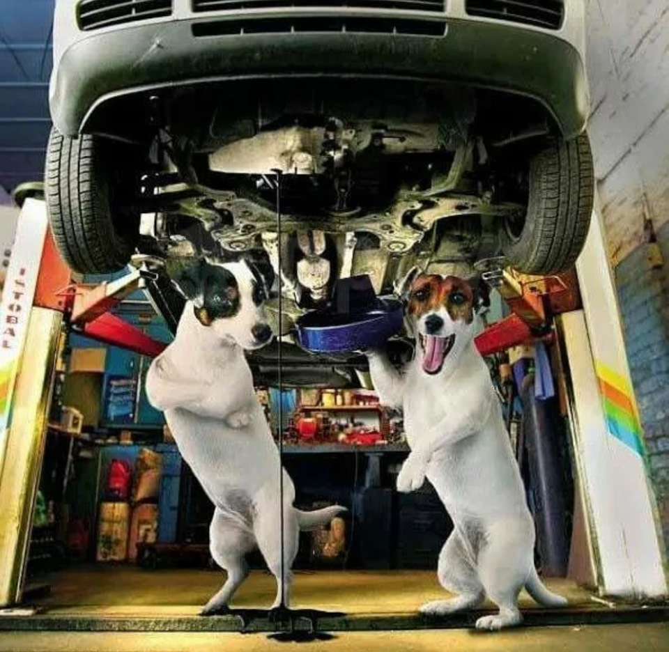 Дожидаемся пока до конца стечёт эта нефть 🫠 — Chevrolet Aveo Sedan (1G)