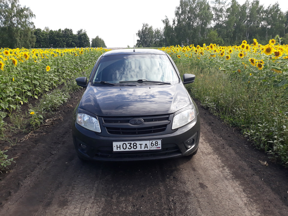 Фото в бортжурнале Lada Гранта Лифтбек (1G)