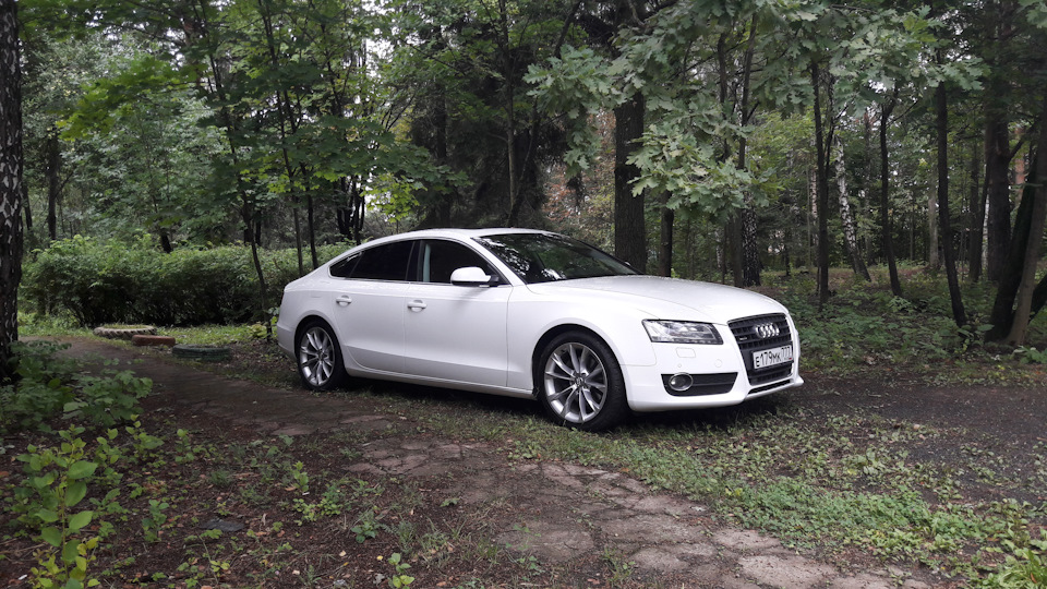 Фото в бортжурнале Audi A5 Sportback (1G)