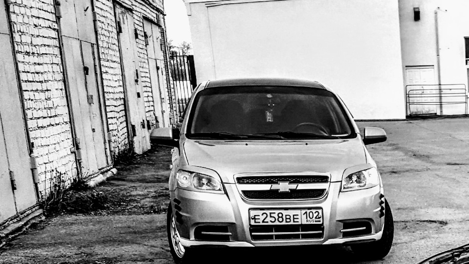 Chevrolet Aveo Sedan Rottweiler in the car