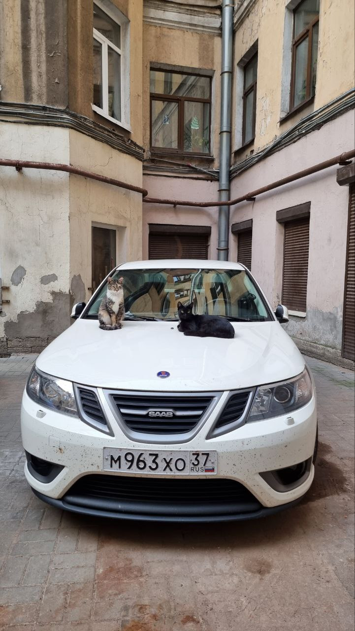 Гостеприимство СПБ. — Saab 9-3 (2G)