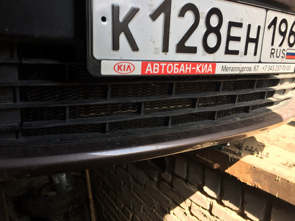 Сетка на своем месте. — KIA Rio (4G)